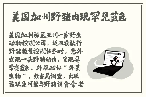精品国产a∨无码一区二区三区