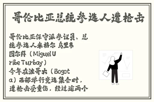三浦理惠伦理片
